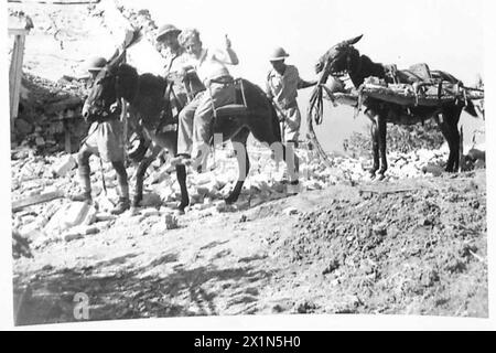 INVASIONE DELL'ITALIA: OTTAVO ESERCITO - qui si vedono i muli appositamente equipaggiati che ritornano con feriti su barelle e sedie a sella, British Army Foto Stock