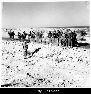 L'ESERCITO POLACCO NELLA CAMPAGNA DEL DESERTO occidentale, 1940-1942 - le truppe italiane si arrendono ad una pattuglia della Brigata dei Carpazi indipendenti polacchi sulla strada a sud-ovest di Gazala, in Libia. Uno dei prigionieri portava con sé la sua bicicletta, l'esercito britannico, l'esercito polacco, le forze armate polacche in Occidente, la Brigata dei fucilieri dei Carpazi indipendenti Foto Stock