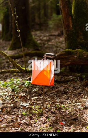 Orientamento. Punto di controllo prisma e composter elettrico per l'orientamento nella foresta primaverile. Apparecchiature di navigazione. Il concetto Foto Stock