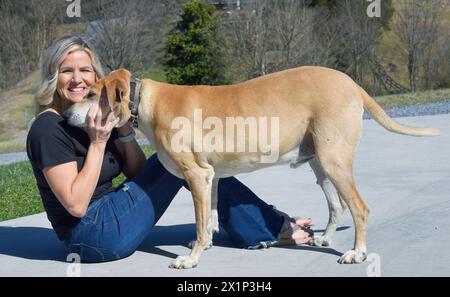 Il cane di razza mista gode della compagnia e dell'amore dei suoi padroni. Una bella donna abbraccia il cane e sorride felicemente. Foto Stock