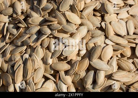 Quantità abbondante di sgranati Semi di zucca nella vista Foto Stock