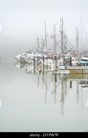 Richmond, Columbia Britannica, Canada – 24 giugno 2020. Steveston Paramount Harbour nella verticale di Mist. Nebbia al porticciolo di Steveston Harbor Authority. Foto Stock