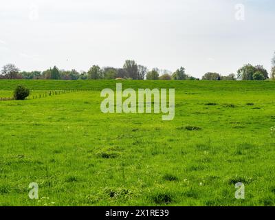 Beuningen, Paesi Bassi. 13 aprile 2024. Una vista di un campo molto verde. La prima metà della primavera è stata la più calda mai registrata nei Paesi Bassi da quando le misurazioni della temperatura sono iniziate nel 1901. Tre record giornalieri di caldo sono stati battuti nella prima metà della primavera. Marzo 2024 è stata la marcia più calda mai registrata, con una temperatura media di 9 gradi alla stazione meteorologica nazionale di De bit, rispetto ai tipici 6,5 gradi Celsius. Credito: SOPA Images Limited/Alamy Live News Foto Stock