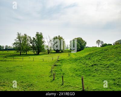 Beuningen, Gheldria, Paesi Bassi. 13 aprile 2024. Una vista su un'area naturale molto verde. La prima metà della primavera è stata la più calda mai registrata nei Paesi Bassi da quando le misurazioni della temperatura sono iniziate nel 1901. Tre record giornalieri di caldo sono stati battuti nella prima metà della primavera. Marzo 2024 è stata la marcia più calda mai registrata, con una temperatura media di 9 gradi alla stazione meteorologica nazionale di De bit, rispetto ai tipici 6,5 gradi Celsius. (Credit Image: © Ana Fernandez/SOPA Images via ZUMA Press Wire) SOLO PER USO EDITORIALE! Non per USO commerciale! Foto Stock