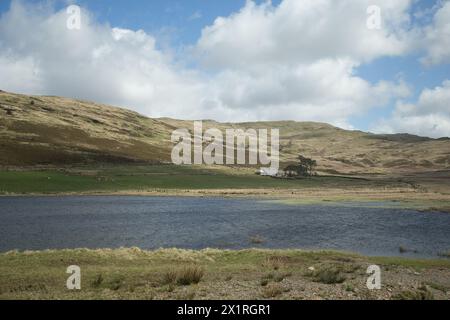 Lago Llyn Yr Oerfel Foto Stock