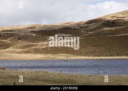 Lago Llyn Yr Oerfel Foto Stock