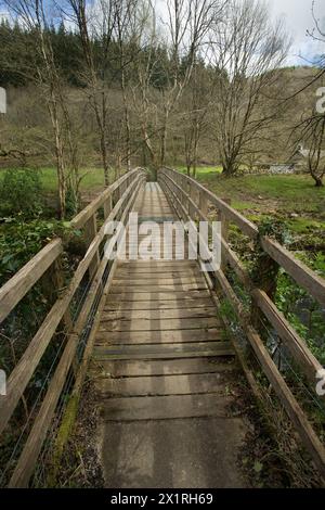 Rhaeadr DDU e Coed Ganllwyd Walk Foto Stock