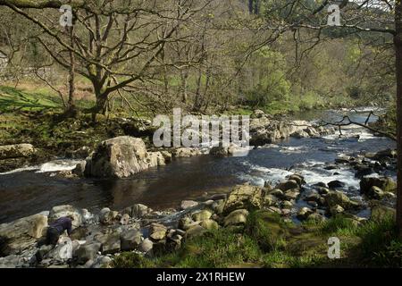 Rhaeadr DDU e Coed Ganllwyd Walk River Gamlan Foto Stock