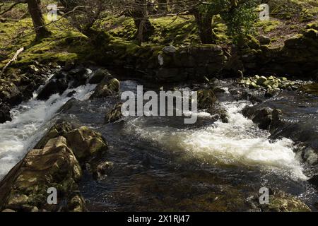 Rhaeadr DDU e Coed Ganllwyd Walk River Gamlan Foto Stock