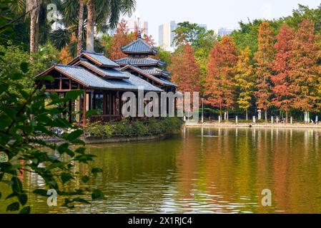 Alberi ingiallibili e antichi padiglioni cinesi nel parco autunnale Foto Stock