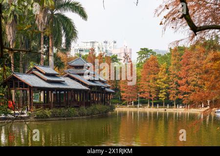 Alberi ingiallibili e antichi padiglioni cinesi nel parco autunnale Foto Stock