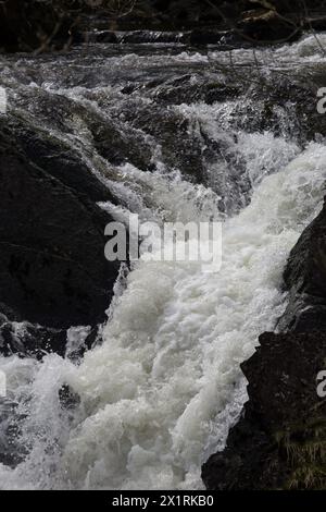 Rhaeadr DDU e Coed Ganllwyd Walk River Gamlan Foto Stock