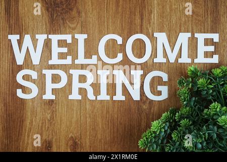 Primavera di benvenuto con foglie verdi su sfondo di legno Foto Stock