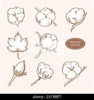 Set vettoriale di rami di cotone disegnati a mano con foglie. Boccioli di fiore di cotone in stile inciso. Arte botanica isolata su sfondo beige. Utilizzare per la stampa Foto Stock