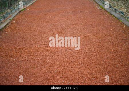 Un sentiero tortuoso attraverso la foresta, perfetto per correre in mezzo a verde sereno e paesaggi naturali. Foto Stock