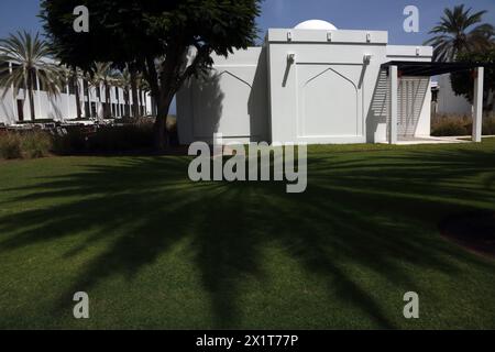 Shadow of Date Palm on Grass fuori dal Chedi Hotel Muscat Oman Foto Stock
