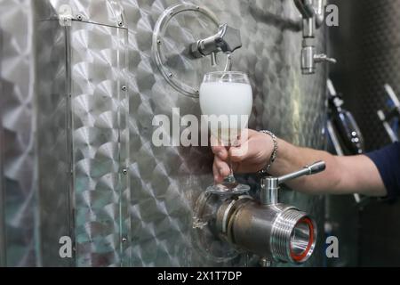 Dettagli con la mano di un viticoltore che versa vino frizzante da una vasca di metallo in un bicchiere, in una moderna cantina. Foto Stock