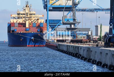 Rostock, Germania. 18 aprile 2024. Il cargo russo "Atlantic Navigator II" è ormeggiato nel porto d'oltremare. Il 04.03.2024, il cargo entrò nel porto di Rostock per riparazioni a causa di problemi tecnici con l'elica. Le autorità doganali hanno successivamente vietato alla nave di proseguire il viaggio. La nave, proveniente dalla Russia, era in viaggio verso gli Stati Uniti e aveva a bordo, tra le altre cose, legname soggetto a un divieto di importazione da parte dell'Unione europea. Crediti: Bernd Wüstneck/dpa/Alamy Live News Foto Stock