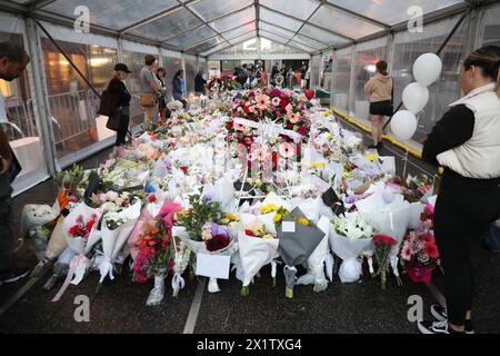 Sydney, Australia. 18 aprile 2024. Westfield Bondi Junction ha aperto per una giornata di riflessione mentre i negozi rimangono chiusi. La pila di fiori lasciati dalle persone nel centro commerciale di fronte continua a crescere e la gente visita per piangere e rendere omaggio dopo che un aggressore di coltello malato di mente (forse per droga), Joel Cauchi, 40 anni, ha fatto una furia uccidendo 6 persone. Crediti: Richard Milnes/Alamy Live News Foto Stock