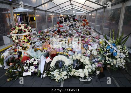 Sydney, Australia. 18 aprile 2024. Westfield Bondi Junction ha aperto per una giornata di riflessione mentre i negozi rimangono chiusi. La pila di fiori lasciati dalle persone nel centro commerciale di fronte continua a crescere e la gente visita per piangere e rendere omaggio dopo che un aggressore di coltello malato di mente (forse per droga), Joel Cauchi, 40 anni, ha fatto una furia uccidendo 6 persone. Crediti: Richard Milnes/Alamy Live News Foto Stock