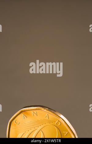 Primo piano di una moneta canadese da un dollaro di colore oro su sfondo argento scuro, Studio Composition, Quebec, Canada Foto Stock