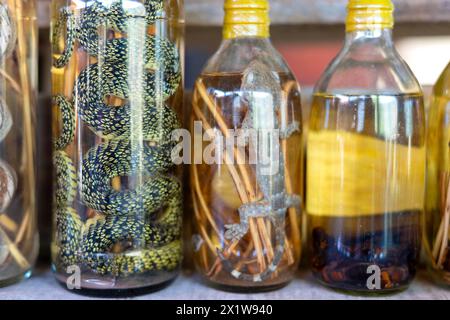 Choum, liquore di riso, vino di riso con scorpioni sottaceto e serpenti in vendita, Laos Foto Stock