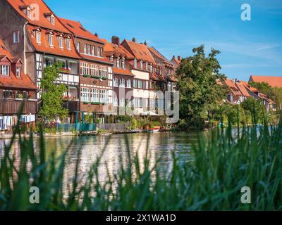 Fila di case Little Venice sulle rive del Pegnitz, Bamberga, alta Franconia, Baviera, Germania Foto Stock