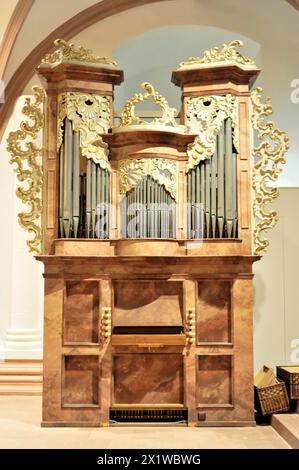 Cattedrale di San Kiliano, cattedrale di San Kiliano, Wuerzburg, organo barocco con decorazione d'oro, tradizionale strumento musicale, Wuerzburg, basso Foto Stock