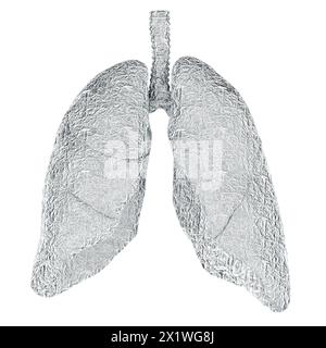 Polmoni umani avvolti in lamina, rendering 3D isolato su sfondo bianco Foto Stock