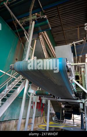 Attrezzature per la lavorazione di ortaggi freschi dopo la raccolta, lo stoccaggio, la cernita, il lavaggio, il taglio, imballaggio, agricoltura nei Paesi Bassi Foto Stock