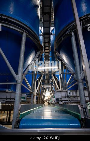 Attrezzature per la lavorazione di ortaggi freschi dopo la raccolta, lo stoccaggio, la cernita, il lavaggio, il taglio, imballaggio, agricoltura nei Paesi Bassi Foto Stock