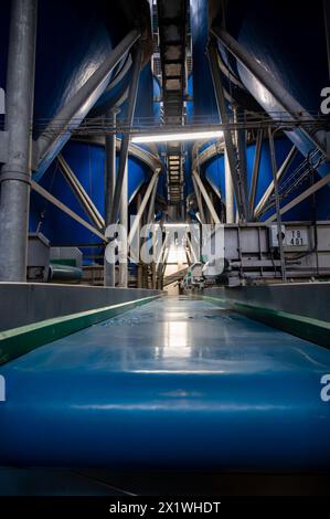 Attrezzature per la lavorazione di ortaggi freschi dopo la raccolta, lo stoccaggio, la cernita, il lavaggio, il taglio, imballaggio, agricoltura nei Paesi Bassi Foto Stock