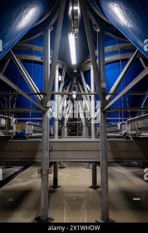 Attrezzature per la lavorazione di ortaggi freschi dopo la raccolta, lo stoccaggio, la cernita, il lavaggio, il taglio, imballaggio, agricoltura nei Paesi Bassi Foto Stock