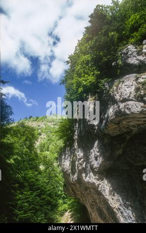 Parco naturale Piatra Craiului dei Carpazi in Romania Foto Stock