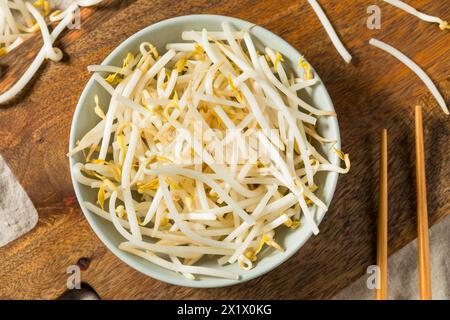 Germogli di fagioli bianchi crudi organici in una ciotola Foto Stock