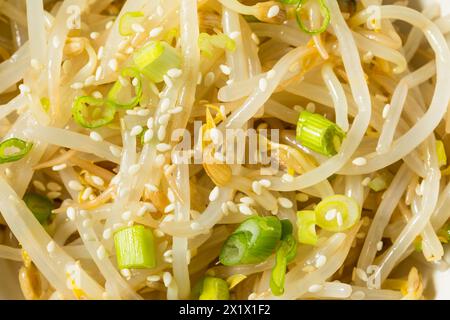 Piatto laterale coreano Mung Bean Sukjunamul Muchim Banchan Foto Stock