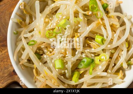 Piatto laterale coreano Mung Bean Sukjunamul Muchim Banchan Foto Stock