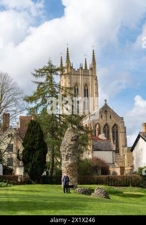 St Edmundsbury Cathedral, elevazione est, dai resti di Bury St Edmunds Abbey, Suffolk, Inghilterra, Regno Unito Foto Stock