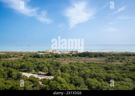 Vedute aeree della Devesa del Saler, delle foreste e della spiaggia Foto Stock