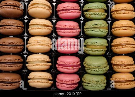 Macaron multicolore in una scatola di plastica, vista dall'alto. Assortimento Foto Stock