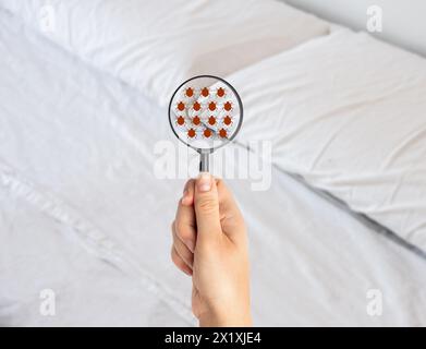 Donna mano con lente di ingrandimento che rileva insetti letto in camera da letto Foto Stock