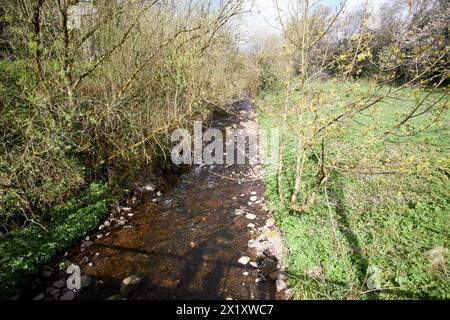 il fiume colin attraversa il parco forestale colin glen ad ovest di belfast, irlanda del nord, regno unito Foto Stock