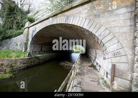 ponte ferroviario di askew sul ponte sul sentiero della città e su una sezione del canale lagan tra broadwater e la contea di moira lungo l'irlanda settentrionale nel regno unito Foto Stock