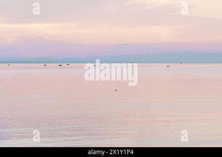 Descrizione: Splendida vista dell'alba sul lago di costanza con le barche pescatrici scattate dalla statua di Imperia nelle prime ore del mattino. Porto dei piroscafi, Costanza, Ba Foto Stock