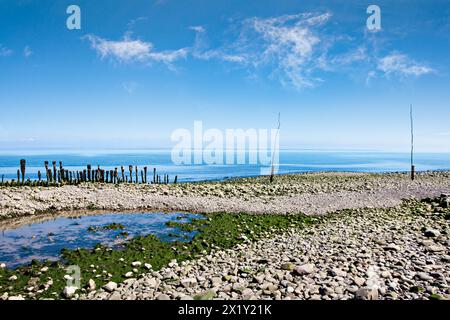 Paesaggio costiero in un giorno d'estate a luglio, Porlock Weir, Somerset Foto Stock