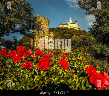 Vista dal roseto di Braubach al Marksburg di Braubach, alla valle del medio Reno, alla Renania-Palatinato, alla Germania Foto Stock