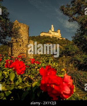 Vista dal roseto di Braubach fino a Marksburg, Valle del Reno medio-alto, Renania-Palatinato, Germania Foto Stock