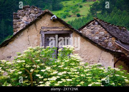 Vecchio edificio in pietra dietro un albero in fiore che cresce nel giardino in un paesaggio rurale in Francia. Foto Stock