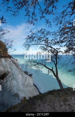 Costa ripida di Møns Klint, scogliere di gesso, acqua bianca del Mar Baltico attraverso gesso lavato dopo l'ondata di tempesta, isola di Mön, Danimarca Foto Stock