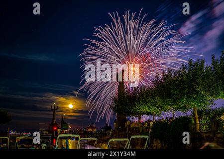 Splendidi fuochi d'artificio al festival delle luci di lago a Bodensee. Costanza, Baden-Württemberg, Germania. Foto Stock